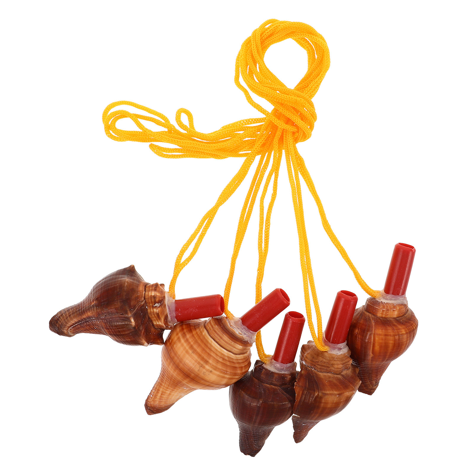 5Pcs Conch Whistle Natural Sea - Outdoor Adventure Kids Party recension och pris