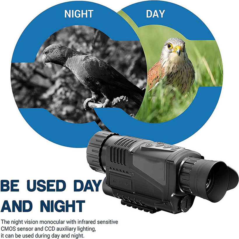 Low Light Night Vision Hunting - Outdoor Adventure Video recension och pris