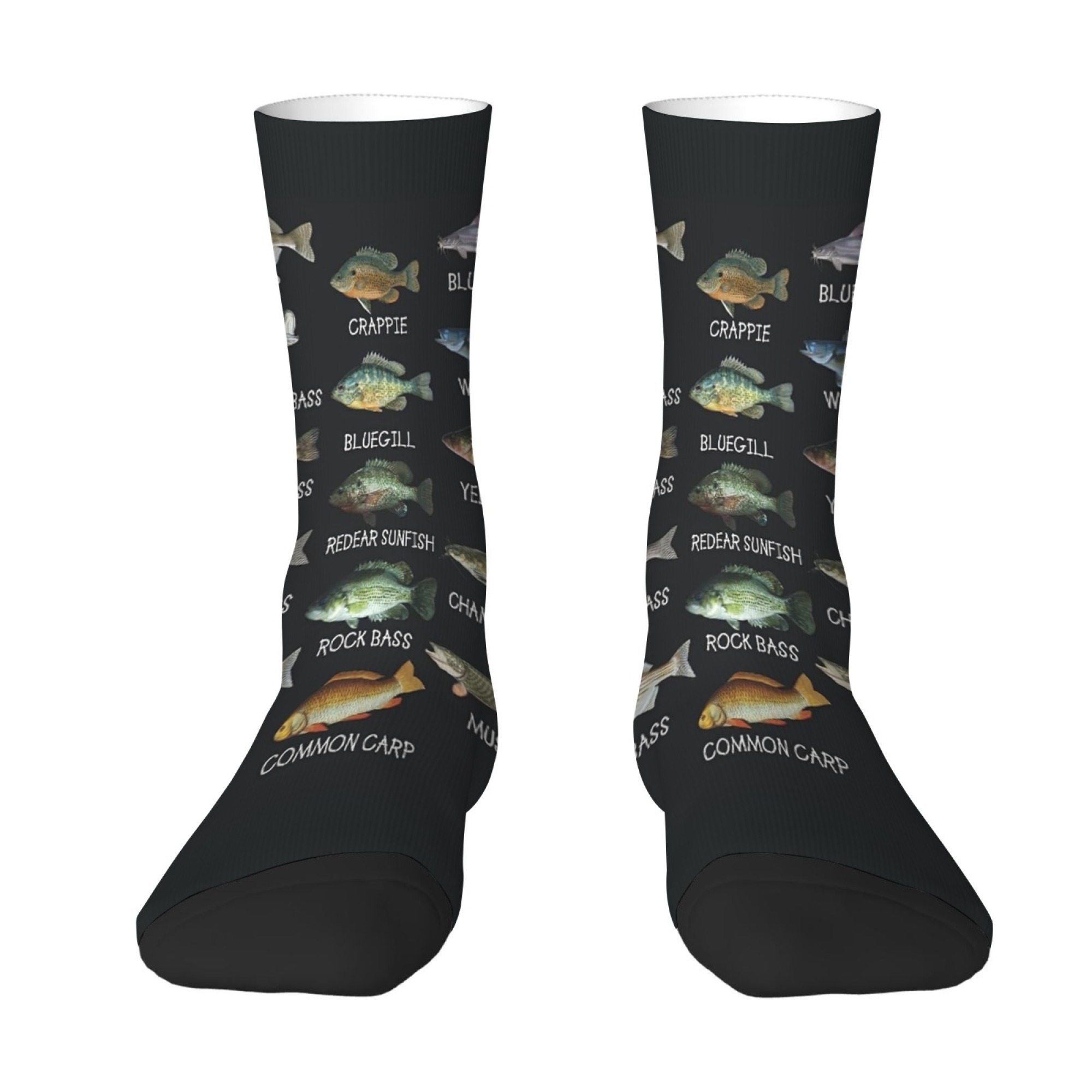 Freshwater Fish Illustration P - Outdoor Adventure Youtube recension och pris