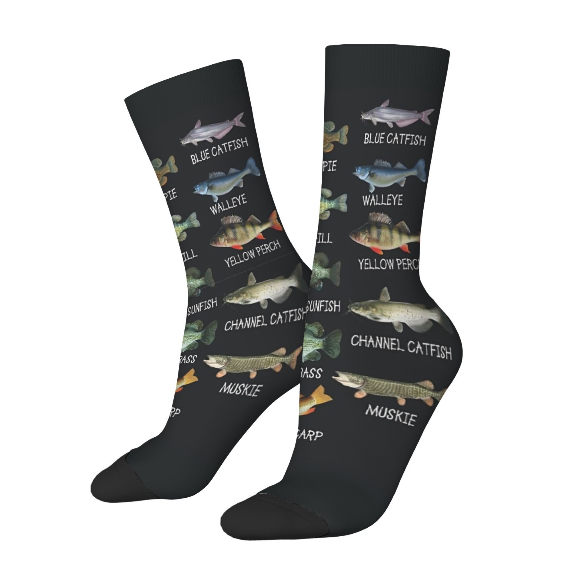 Freshwater Fish Illustration P - Outdoor Adventure Youtube recension och pris